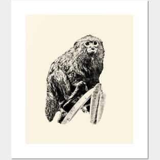 Marmoset Posters and Art